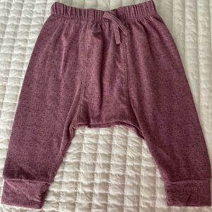 Kate Quinn: Pointelle Panda Pants